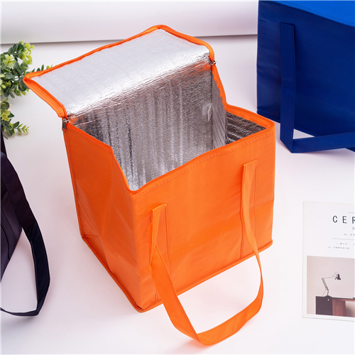 Non Woven Cooler Bag Zipper Lid