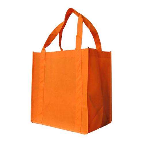 Non Woven Shopping Bag