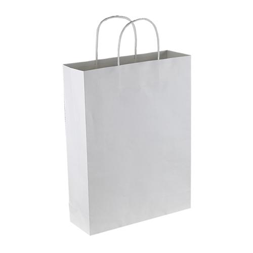 Paper Kraft Trade Show Bag