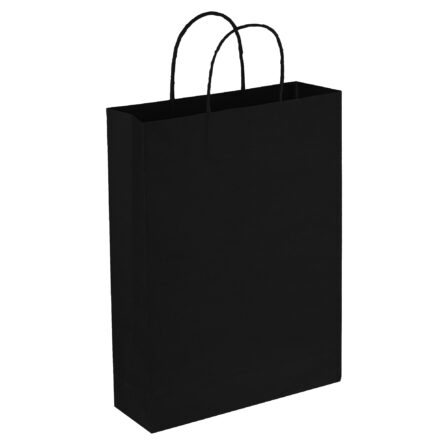 Paper Kraft Trade Show Bag